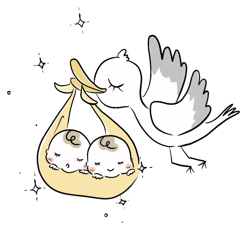 コウノトリが、ふたごの赤ちゃんを運んでいるイラスト